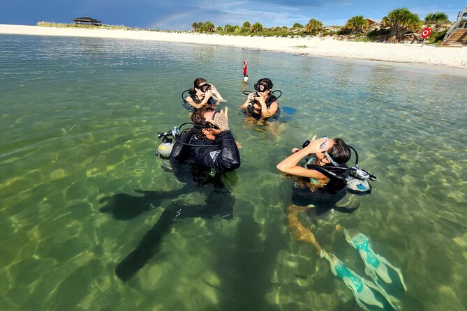 Panama City Scuba Diving Activity for Beginners - Traveler Information