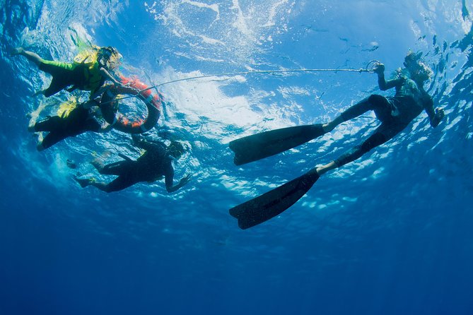 Passions of Paradise Great Barrier Reef Cruise by Catamaran - Preparation and Policies