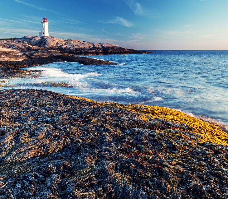 Peggy's Cove: Half-Day Private Tour From Halifax - Highlights of Peggys Cove Tour