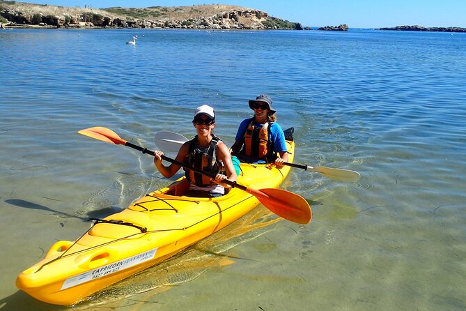 Penguin and Seal Islands Sea Kayaking Experience - Booking and Confirmation