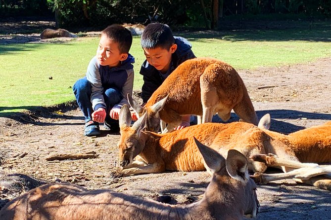 Perth Kids Explorer Private Day Tours - Customizable Itinerary