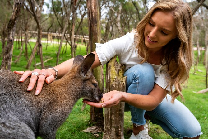 Phillip Island Penguins and Wildlife Day Tour From Melbourne  - Mornington Peninsula - Unforgettable Highlights