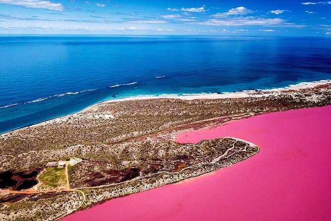 Pink Lake Small-Group Buggy Tour - Tour Logistics