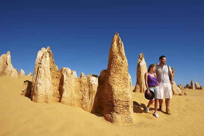 Pinnacles Day Trip From Perth Including Yanchep National Park - Traveler Reviews and Ratings