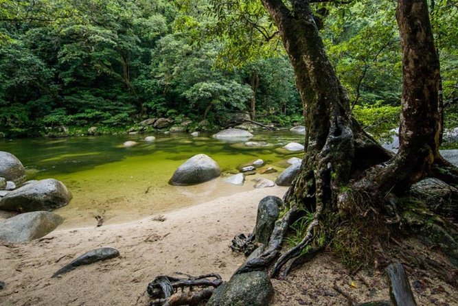 Port Douglas Daintree National Park Boutique Full-Day Tour - Itinerary Details