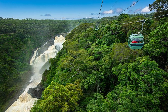 Port Douglas Day Tour Including Kuranda, Skyrail and Scenic Train - Booking and Cancellation Policy