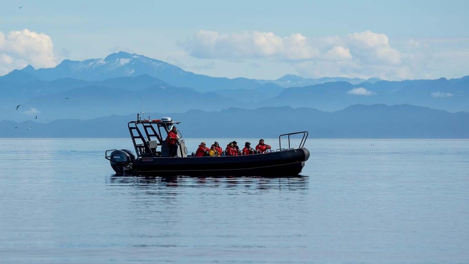 Port Hardy: Sea Otter and Whale Watching - Experience Highlights