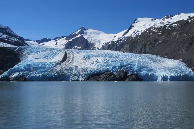 Portage Glacier Cruise and Wildlife Explorer Tour - Wildlife Conservation Center Visit