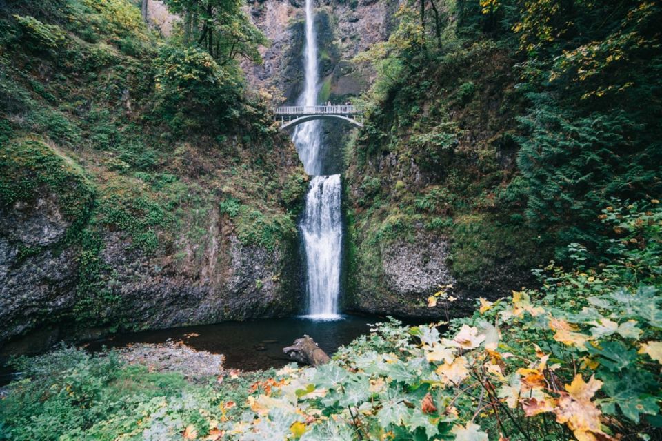 Portland: Columbia River Gorge Waterfalls Afternoon Tour - Highlights of the Tour