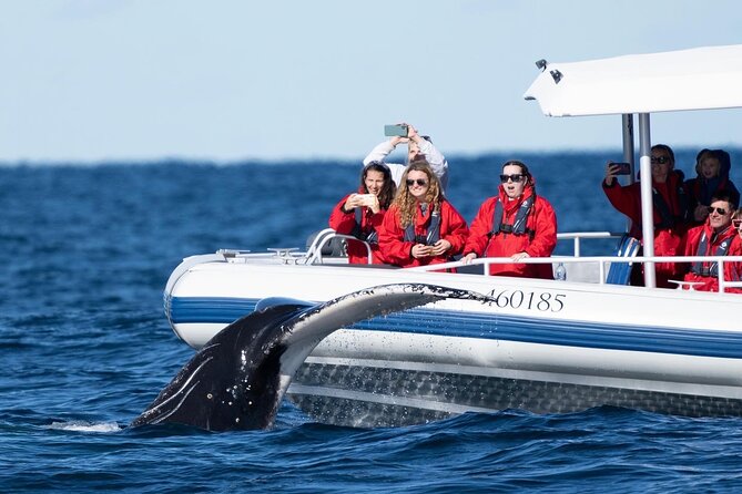 Premier Whale Watching Byron Bay - Cancellation Policy Details
