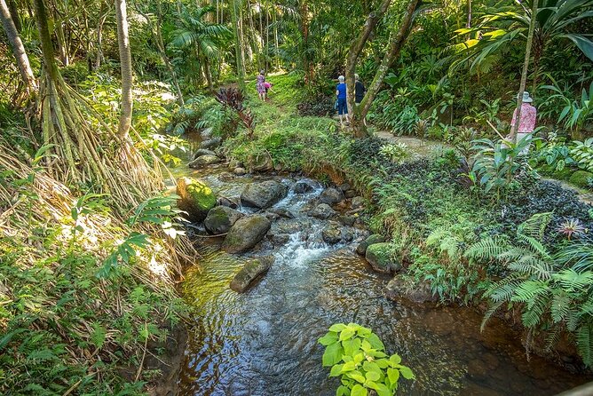 Princeville Botanical Gardens Tour and Chocolate Tasting Ticket - Ticket Pricing and Inclusions