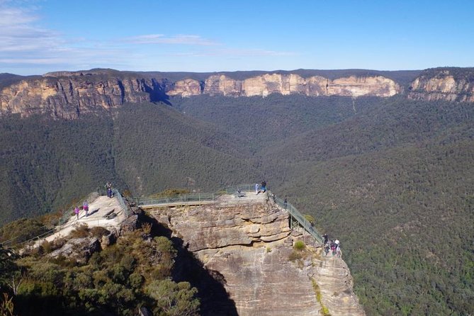 Private 1 Day Full Blue Mountains Tour Koalas Cruise Return - Inclusions and Options