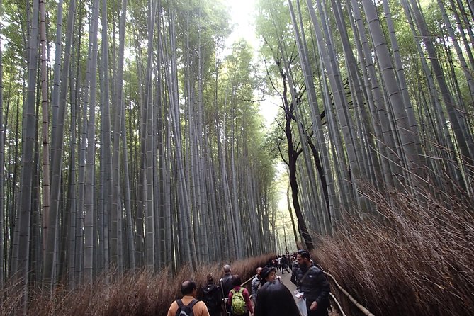 Private 1 Day Kyoto Tour Including Arashiyama Bamboo Grove and Golden Pavillion - Itinerary Highlights