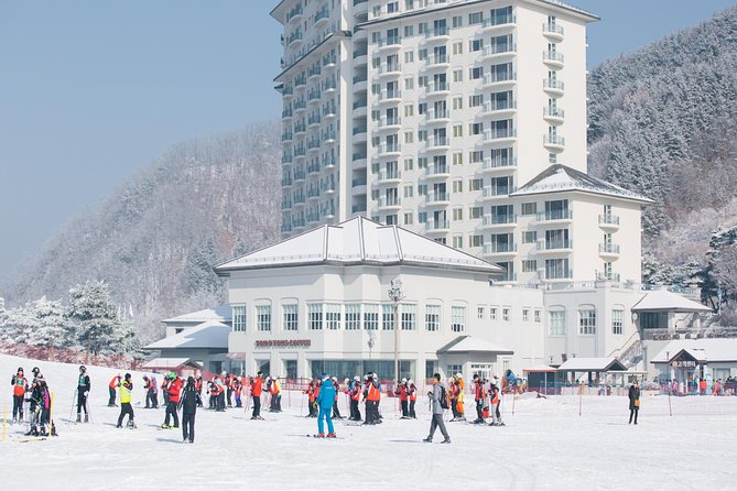 Private 1:1 Ski Lesson Near Seoul, South Korea - Reviews and Ratings