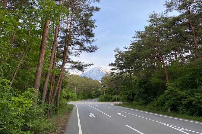 Private 3-Hour Biking Adventure: Descend Mount Fuji  - Fujikawaguchiko-machi - Choose Your Descent Route