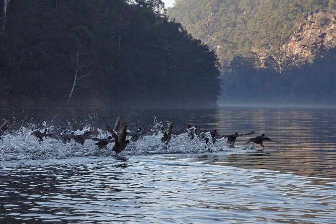 Private 5-Hour Kayaking Tour With Gourmet Lunch, Nepean Gorge  - Sydney - Tour Confirmation and Accessibility