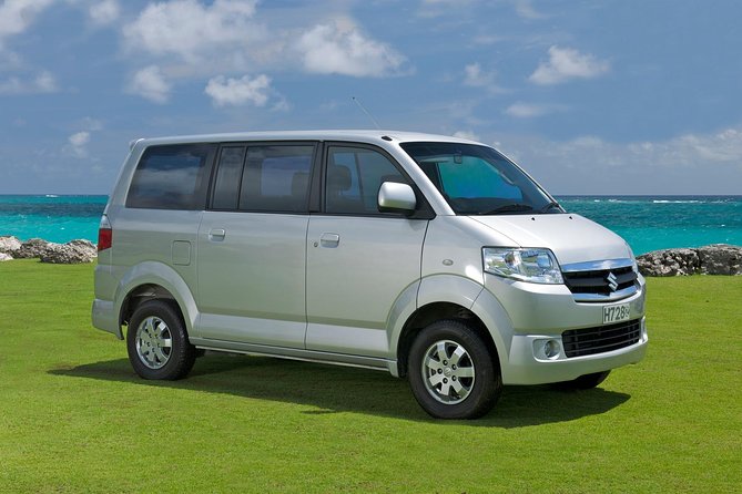 Private Bali Car Rental With Driver Experience - Customer Reviews and Feedback