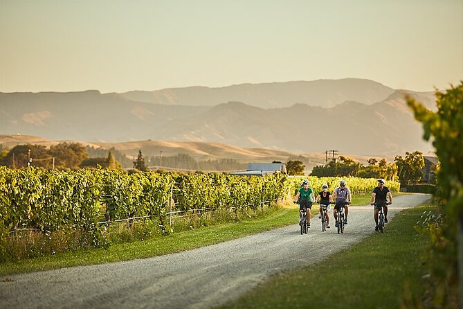 Private Biking Wine Tour (Full Day) in the Marlborough Region - Additional Information