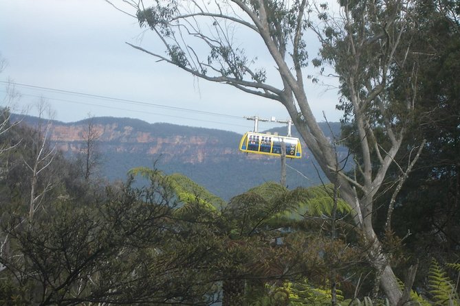 PRIVATE Blue Mountains 1 Day Tour With Wildlife Park & River Cruise - Value for Money and Cancellation Policy