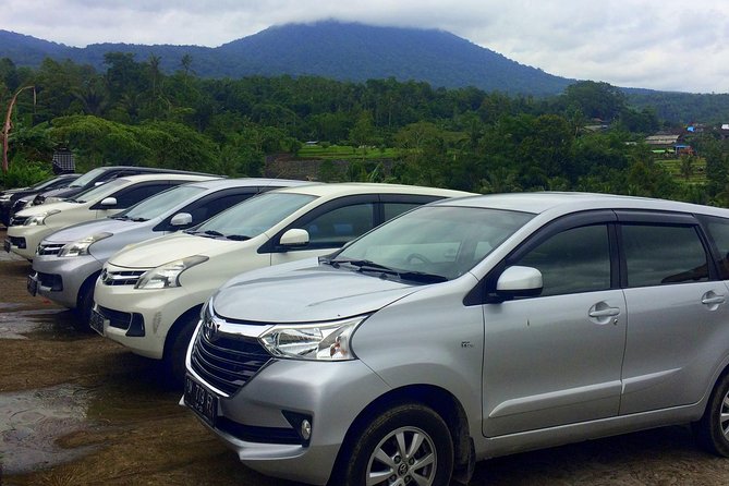 Private Car Charter - Explore Best of Bali - Booking Information