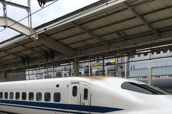 Private Car Transportation From Tokyo to Narita Airport - Accessibility and Health Considerations