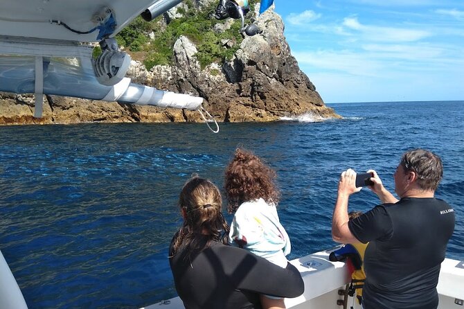 Private Charter 8 Hour Snorkel and Paddleboard the Poor Knights - 1 to 12 People - Booking Details