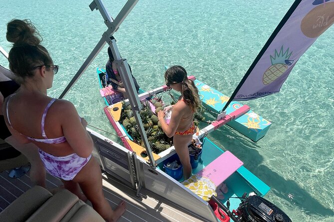 Private Crab Island Pontoon Charter With Inflatables - Confirmation and Accessibility