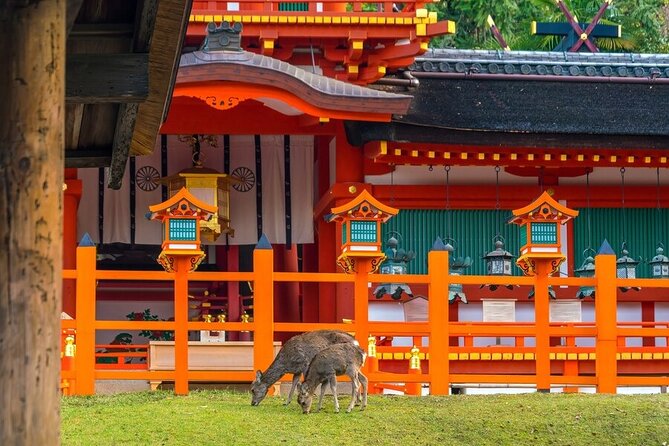 Private Customized 3 Full Days Tour Package: Discover Kyoto, Arashiyama and Nara - Booking Details and Policies