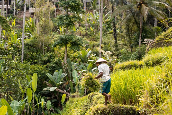 Private Customized Trip to Ubud - Hotel Pick-Up and Drop-Off