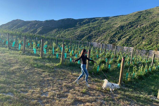 Private Dog Friendly Wine Tour With Your Local Guide - Tour Location