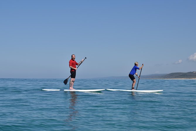 Private Double Island Wildlife Tour - Noosa - Customer Experiences