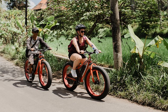 Private Fat Tire E-Bike Tour in Ubud - Inclusions