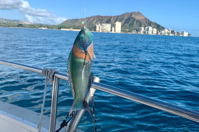 Private Fishing Charter for Family and Friends in Honolulu - Logistics