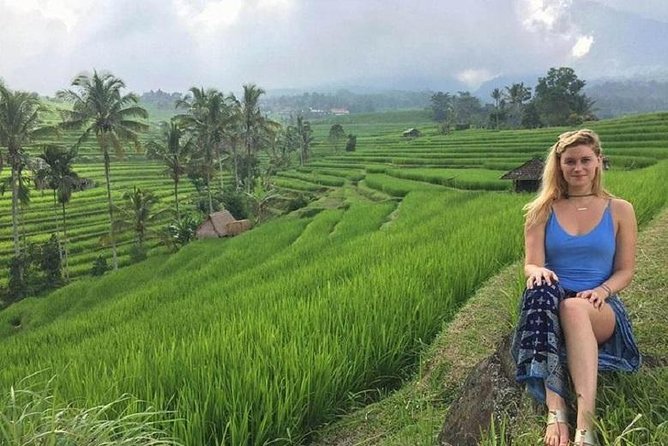 Private Full-Day Tour Jatiluwih Rice Terrace and Tanah Lot Temple - Traveler Reviews