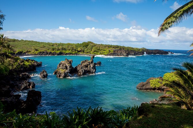 Private Full-Day Waterfall Beach and Jungle Tour of Maui - Reviews and Ratings