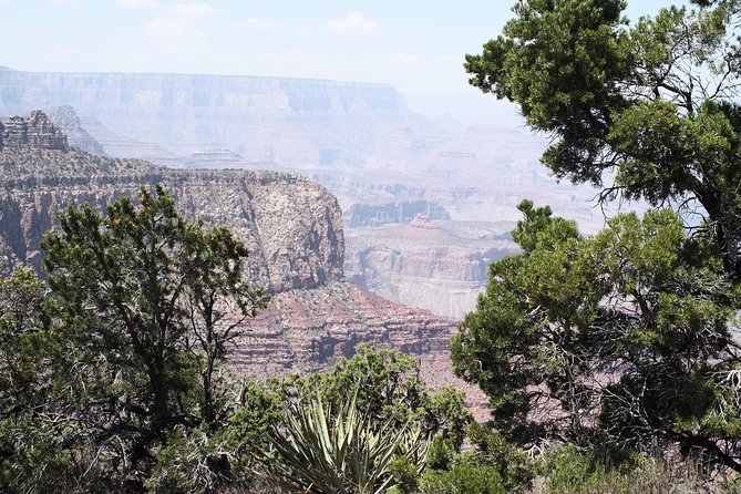 Private Grand Canyon in Luxury SUV Tour - Customer Reviews