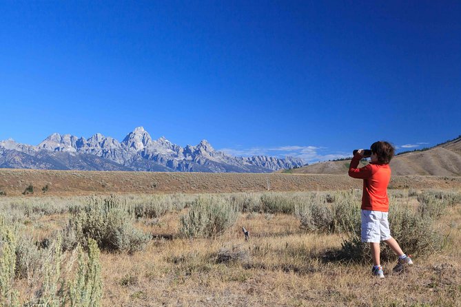 Private Grand Teton Wildlife Safari Tour - Private Option Details