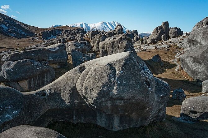 Private Guided Tour of Inland Canterbury & Castle Hill Rocks - Meeting Points and Start Time