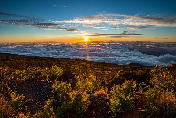 Private Half-Day Haleakalā Hike in Kahului  - Maui - Logistics