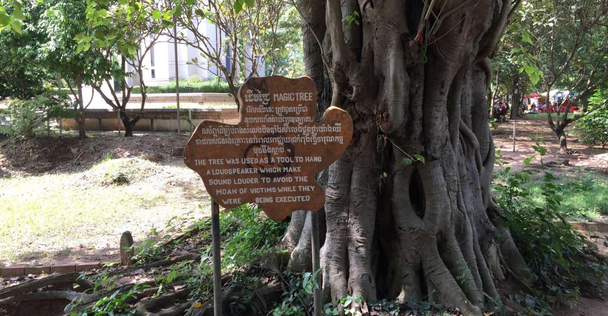 Private Half Day to Killing Field and S21 Genocidal Museum - Tour Highlights