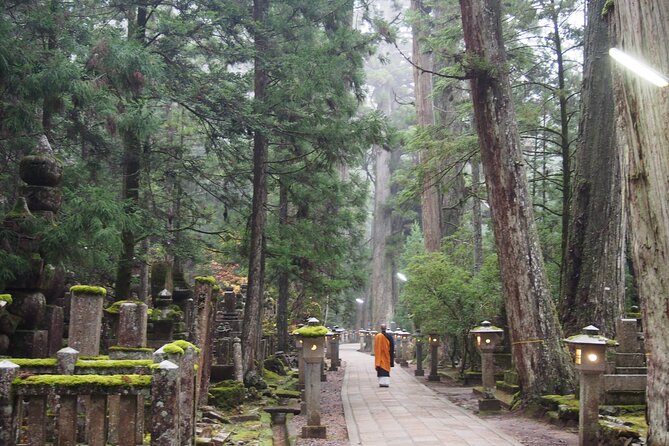 Private Half- Day Tour in Wakayama Koyasan - Tour Inclusions and Fees