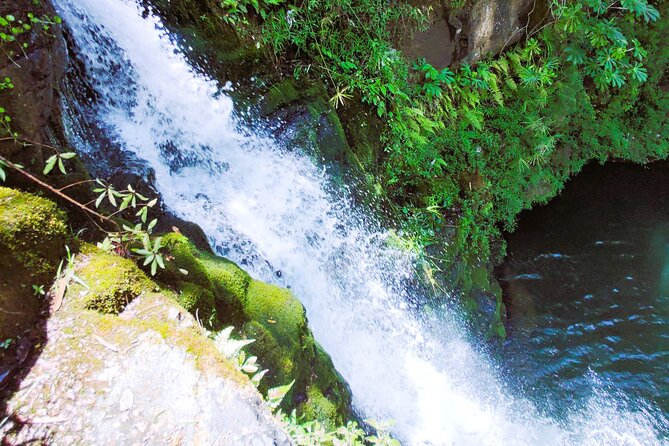 Private Jungle Waterfall Adventure, Wit Da Native Hawaiian Dundee - Inclusions