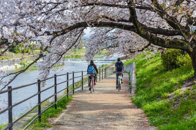 Private Kamigamo River Electric Bike Tour - Guide Services Included