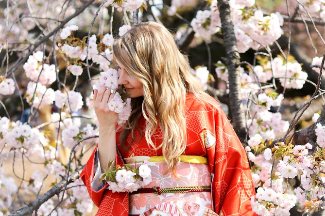 Private Kimono Photo Tour in Tokyo - Schedule and Operational Details