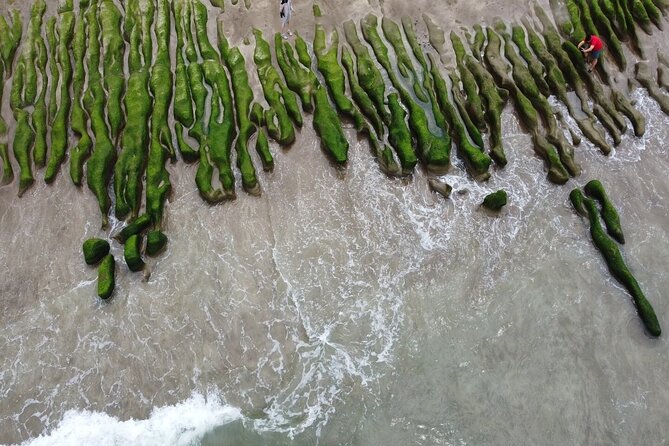 Private Laomei Green Reef Day Tour From Taipei - Tour Details