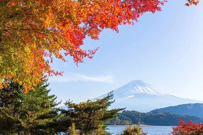 Private Mount Fuji and Hakone City Tour From Tokyo - Reviews and Ratings