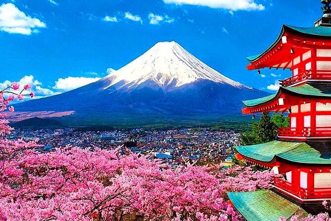 Private Mount Fuji and Hakone Sightseeing Day Trip With Guide - Reviews