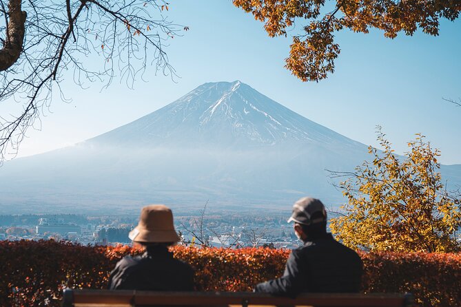Private Mt Fuji, Hakone and Tokyo Tour-English Speaking Chauffeur - Group Size and Timing