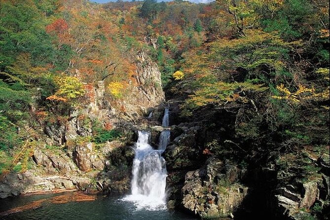 Private Sandankyo Valley Tour From Hiroshima With a Local Guide - Local Guide Expertise