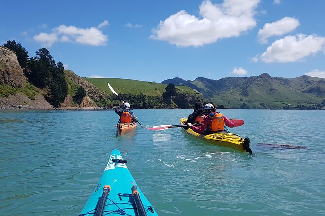 Private Sea Kayaking Tour From Christchurch/Lyttleton - Tour Logistics and Expectations
